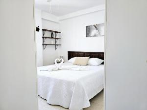 Lovely Town Centre Apartment