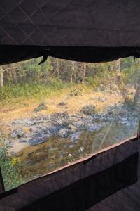 川辺-Kawabe-テントサウナ-BBQ-川遊び