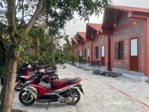 Trang An Gold Mountain Homestay