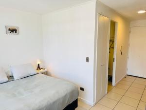 Santiago Central Studio