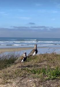 Linda casa em frente ao mar!