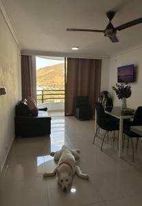 Condominio Nuevo Rodadero 1204