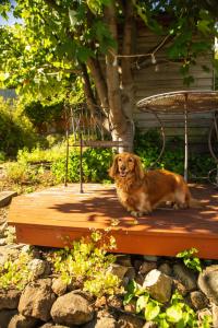 Dukes on Quayle Whimsical Sandy Bay Cottage Stay