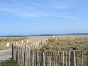 Appartement RDC - Accès Direct Plage, Terrasse, Parking Privé, Animaux Acceptés - FR-1-529-80