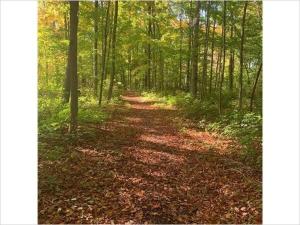 Prime Waterfront Cottage on Sandbanks Area Resort