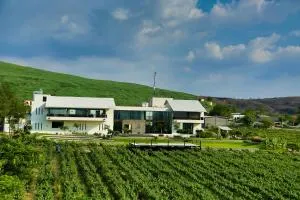 Regenta Resort Soma Vine Village Nashik - Saputara