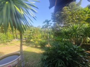 kanissta cafe & resort