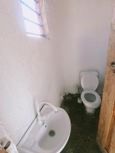 Babalao Beach Resort, Backpackers & Tent