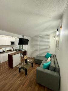 Departamento cómodo en Chillán