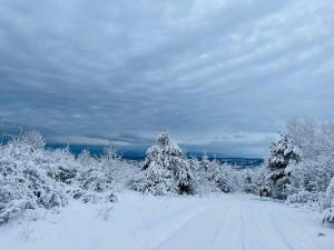 Cuibul Sturzilor - Maramures
