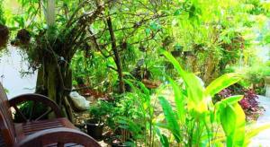 Rommai Rimnaam Resort