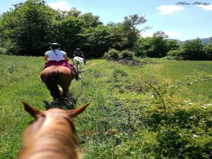 Farmhouse in Monte Santa Maria Tiberina with garden
