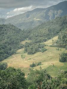 Eco Vibe Resort