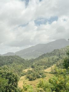 Eco Vibe Resort
