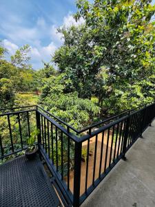 Sigiriya Arecanut Garden