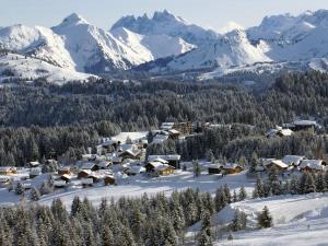 Studio à Praz-sur-Arly