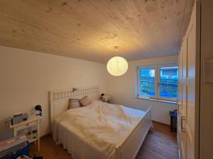 Schwarzwaldblick Rothaus Meise