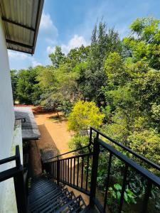 Sigiriya Arecanut Garden