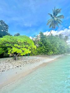 Raja Ampat diva homesty