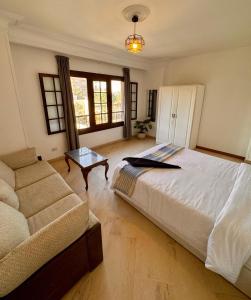 Villa Maadi 35 - R 301 - Street View Room