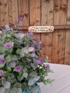 La Locomotiv7 - 400 m de la plage