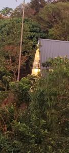 Vagamon misty Hills Resort