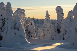 Muninn Glass Cabin with Lake View