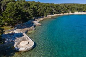 Apartments at Villa Frida