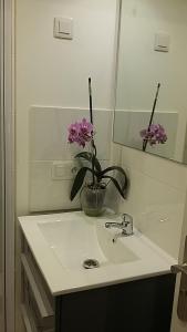 le CLOS des PALUDIERS chambre MOLENE