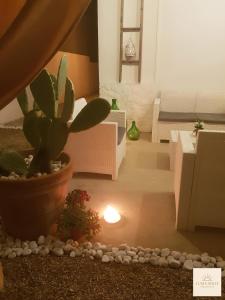 Luma Solis Apartments