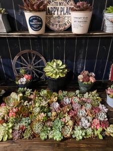 Ryokan Onomichi Tsubamedou Private Traditional House 1日一組限定 一棟内2階貸切り