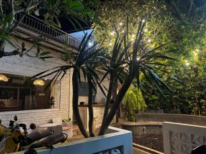 GreatiStay Living&Working Canggu