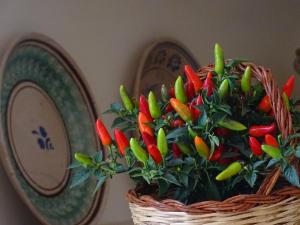 Villa Relais Palmento 1866 Torre Favara