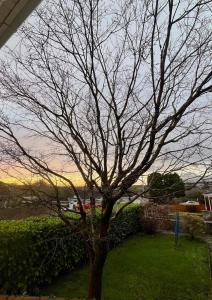 Private Annexe, Near Derriford and Dartmoor with Parking