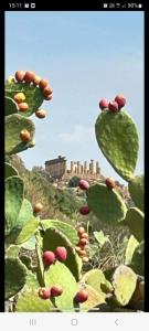 DAREB HOME vista mare