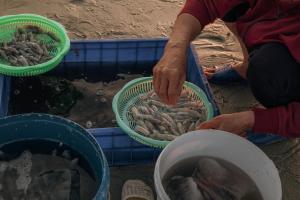 Thiện Homestay - Nguyên Căn Dốc Lết