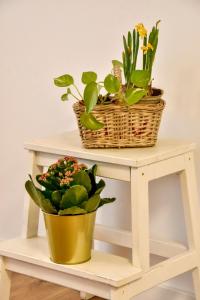 Your Home in Seville