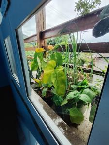 Casa de Praia Maresias