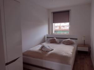 Apartament Zborowskiego