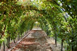 Weingut Stefan Meyer