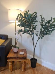 3 bedroom 1st Floor Flat in Hastings Old Town