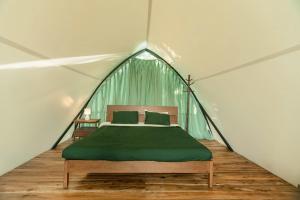 Tropical eglamping