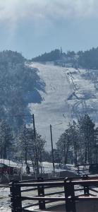 DivčiNova C19 Princess