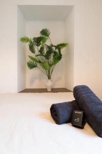 Appartement cosy au coeur de Cagnes sur Mer
