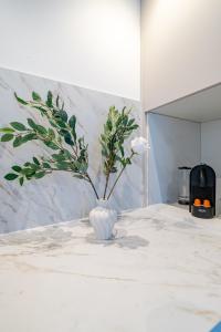 Appartement cosy au coeur de Cagnes sur Mer