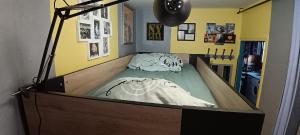 Mixed dormitory of 4 beds 13m2 in a sharing flat in Le Kremlin-Bicêtre