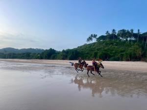 Haweri Estate Sumba - Surf View Villa