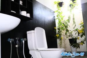 Vitamin Sea 48mg, Beach Front Villa in Panadura
