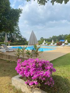 The1 Mangosteen Harmony Retreat - Khaolak - Eco Luxury Villa - Room Only -No Breakfast