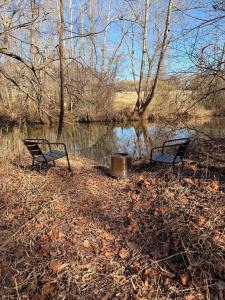 Riverside Studio - Trails, Views, Firepit, Hammock